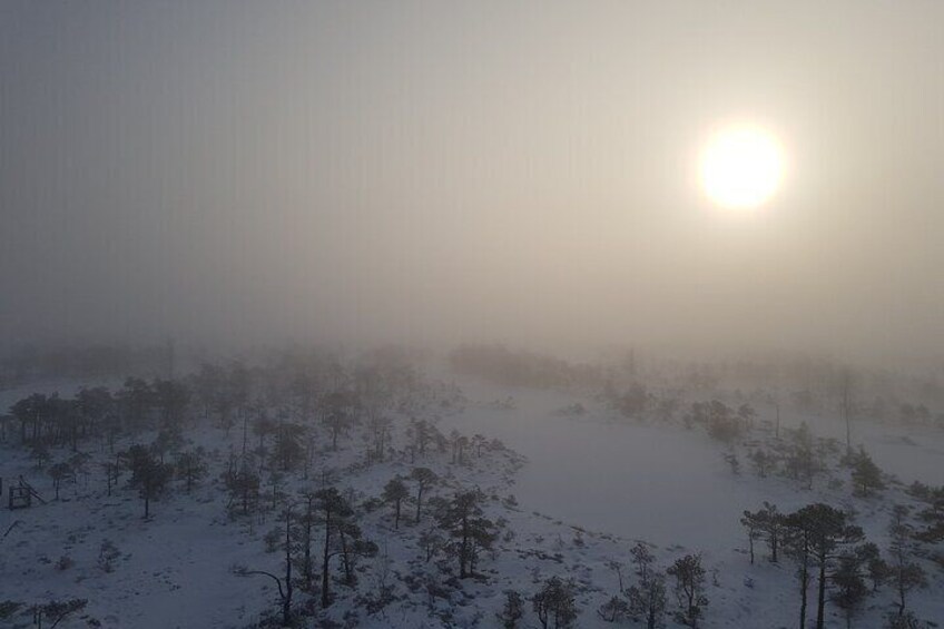 Great Ķemeri Bog and Swamp Forest Hiking Adventure