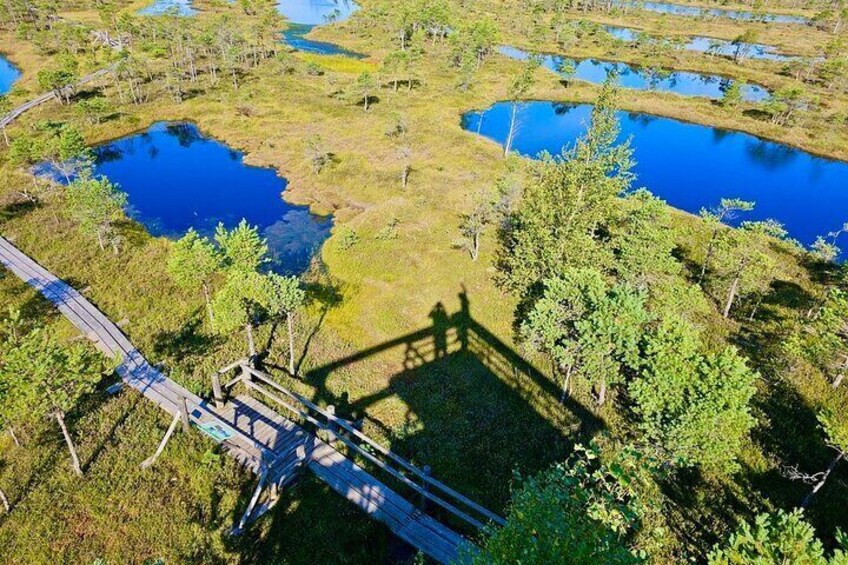 Great Ķemeri Bog and Swamp Forest Hiking Adventure