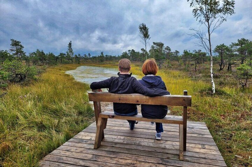 Great Ķemeri Bog and Swamp Forest Hiking Adventure