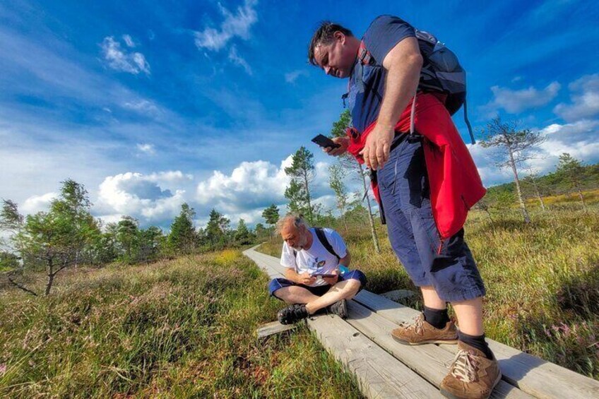 Great Ķemeri Bog and Swamp Forest Hiking Adventure