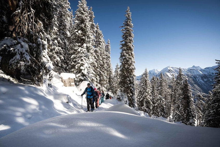 Picture 2 for Activity Interlaken: Winter Alpine Adventure - Snowshoe and Sledding