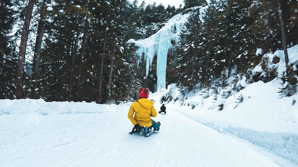 Picture 7 for Activity Interlaken: Winter Alpine Adventure - Snowshoe and Sledding