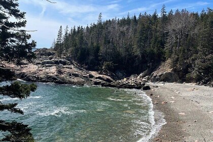 Self Guided GPS Audio Driving Tour Acadia NP From Hulls Cove VC