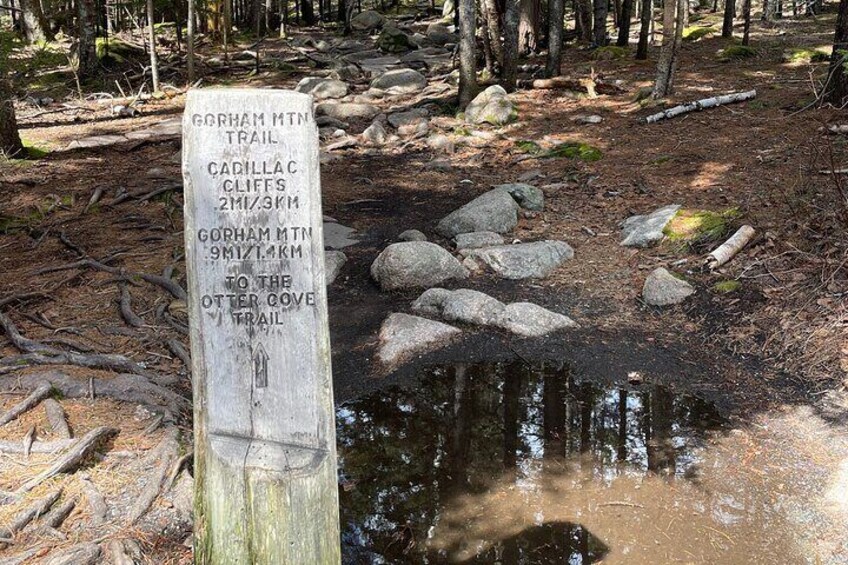 Self Guided GPS Audio Driving Tour Acadia NP From Hulls Cove VC