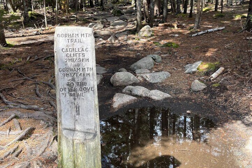 Self Guided GPS Audio Driving Tour Acadia NP From Hulls Cove VC