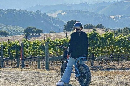 Albatross Ridge Vineyards Electric Bike Tour & Wine Tasting