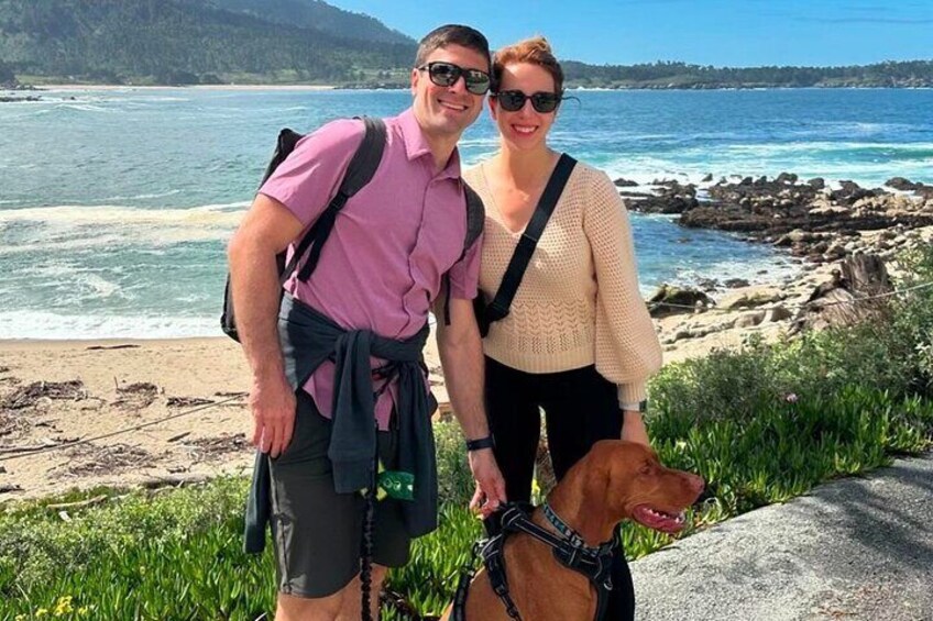 Dog Friendly 17 Mile Drive Electric Bike and Sidecar Guided Tour