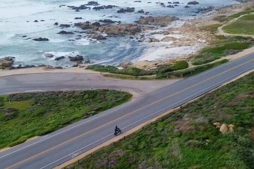 Dog Friendly 17 Mile Drive Electric Bike and Sidecar Guided Tour