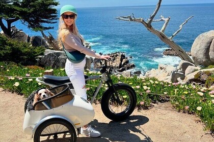 Dog-Friendly Electric Bike and Sidecar Guided Tour