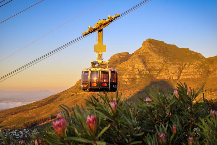 Picture 2 for Activity Skip The Line Ticket Table Mountain Cable Car from Cape Town