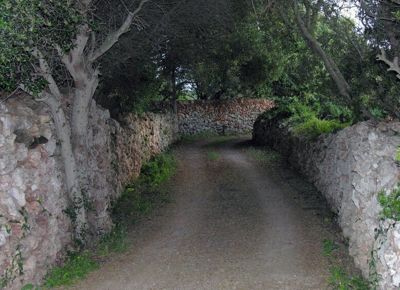 Picture 1 for Activity Menorca: E-Bike Tour From Punta Prima to Binibeca