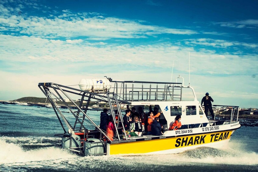 Picture 17 for Activity From Hermanus or Cape Town: Shark Cage Diving Experience