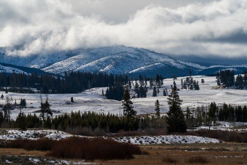 3 Day Wildlife Photography Tour in Yellowstone National Park