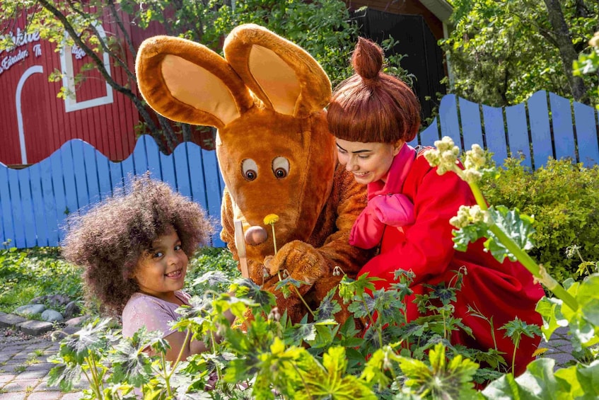 Moominworld Ticket for one day