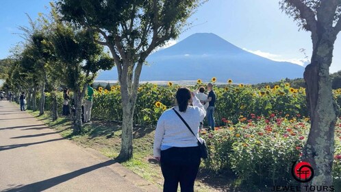 Fuji Yamanaka Lake. Oshino Hakkai and Local Noodles