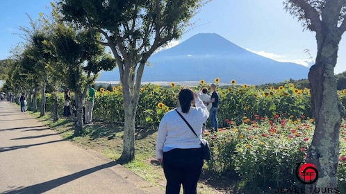 Fuji Yamanaka Lake. Oshino Hakkai and Local Noodles