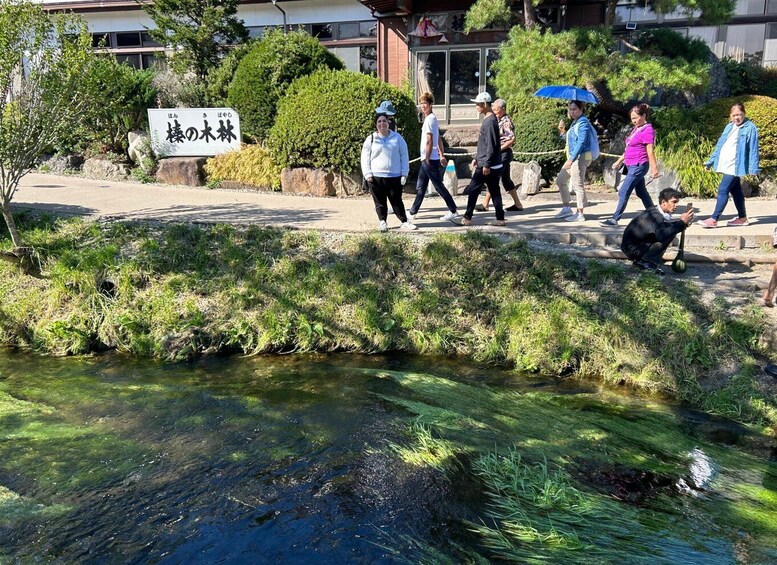 Picture 5 for Activity Fuji Yamanaka Lake. Oshino Hakkai and Local Noodles