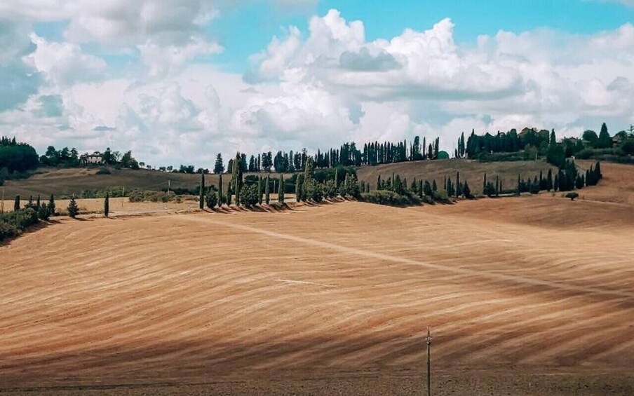 Picture 11 for Activity From Siena: Chianti and Castles Tour with Wine Tastings