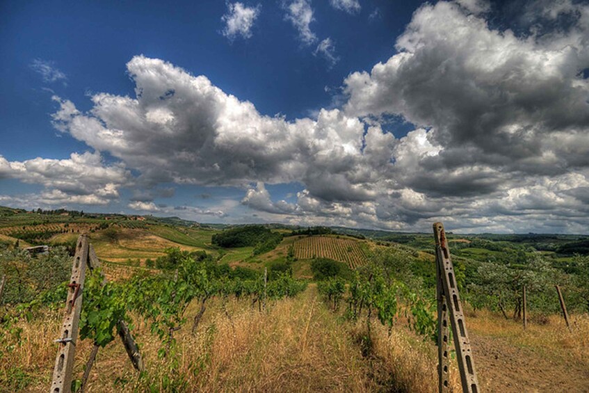 Picture 5 for Activity From Siena: Chianti and Castles Tour with Wine Tastings