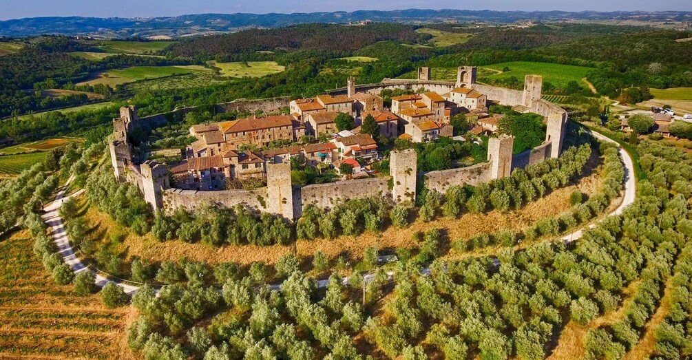 Picture 4 for Activity From Siena: Chianti and Castles Tour with Wine Tastings