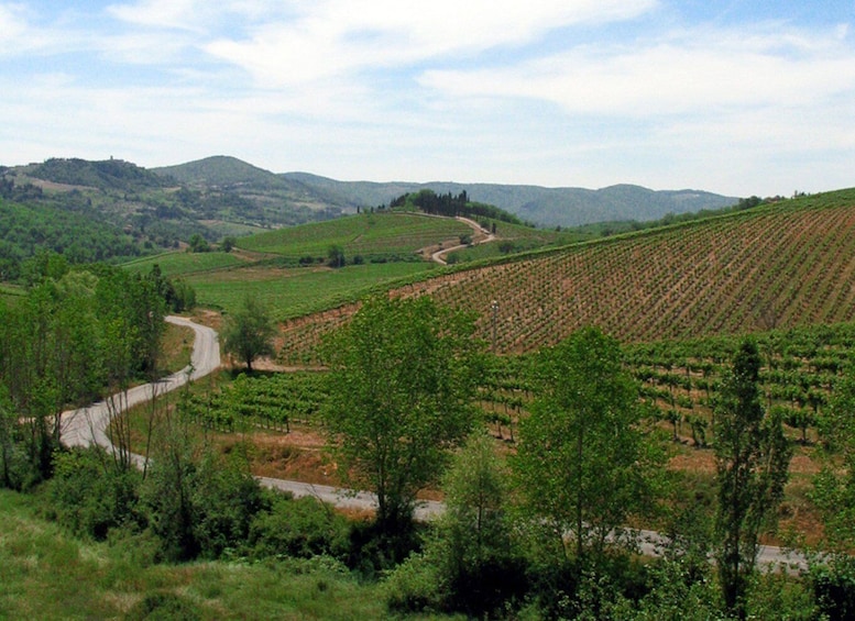 Picture 13 for Activity From Siena: Chianti and Castles Tour with Wine Tastings