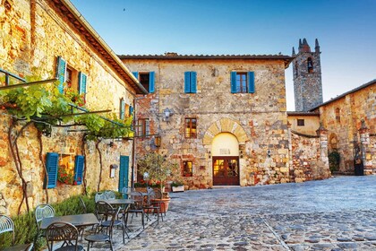 Fra Siena: Chianti- og slottstur med vinsmaking