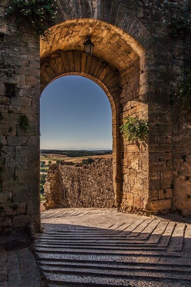 Picture 1 for Activity From Siena: Chianti and Castles Tour with Wine Tastings