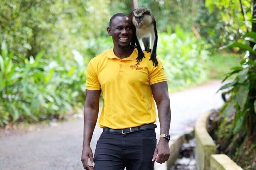 Tour guide with Mona monkey in grenada