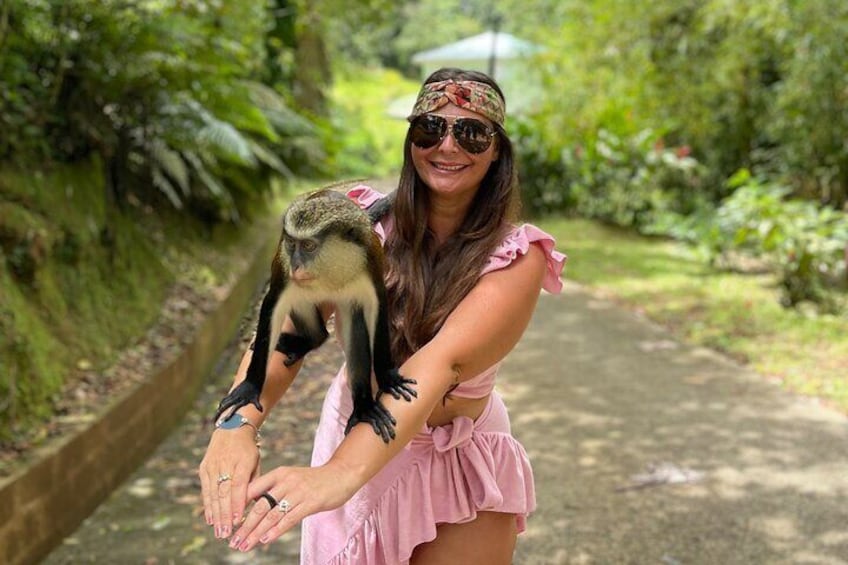 Mona monkey and girl and grand Etang rainforest