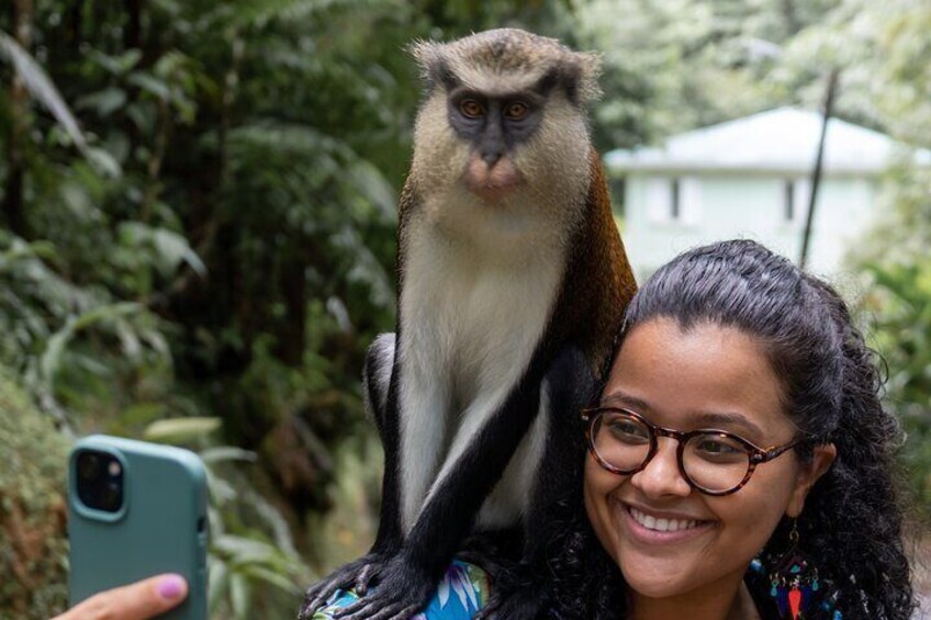 Selfie with a Mona monkey