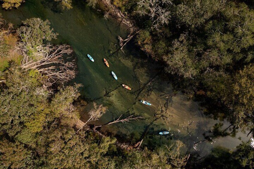 Cypress Springs Eco Adventure