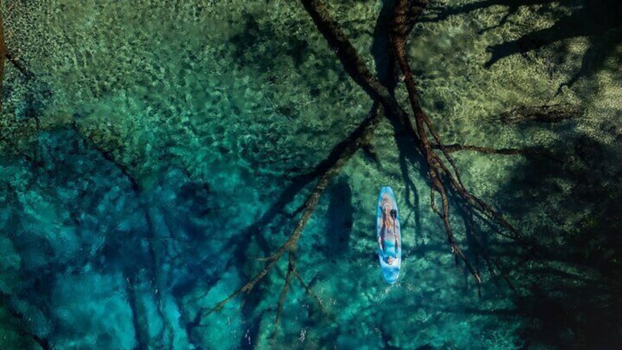 Cypress Springs Eco Adventure