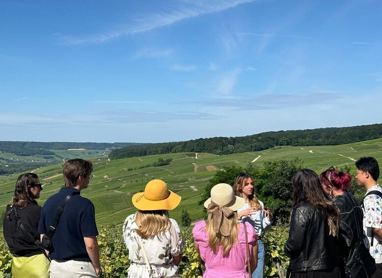 Picture 4 for Activity Short day family growers & traditional lunch from Reims