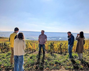 Short day family growers & traditional lunch from Reims