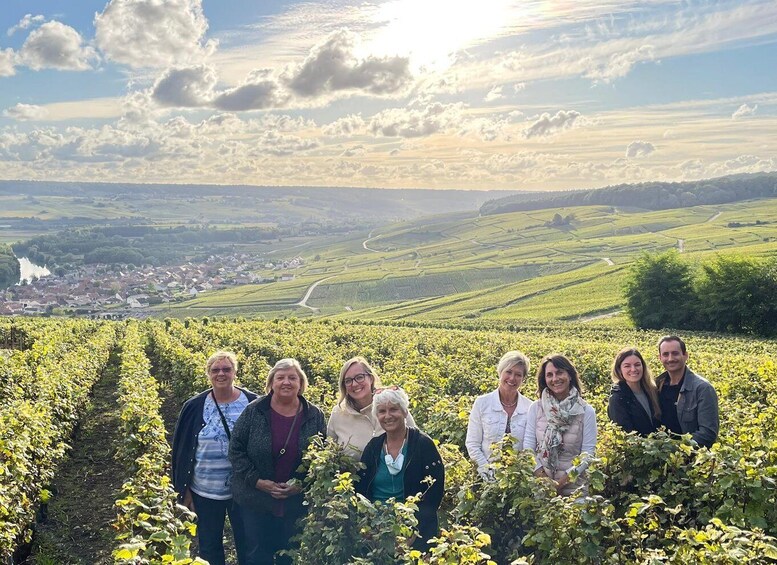 Picture 3 for Activity Short day family growers & traditional lunch from Reims