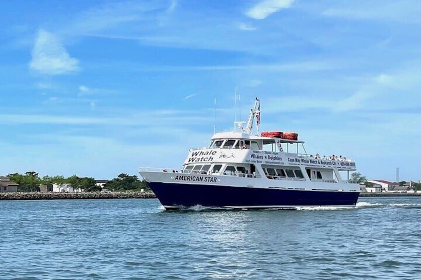 Dolphin and Bird Watching Ecotour Cruise
