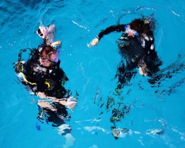 Picture 2 for Activity Playa: PADI Scuba Diver