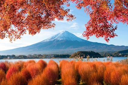 From Tokyo: Must-Visit Mount Fuji Highlight Full-Day Tour