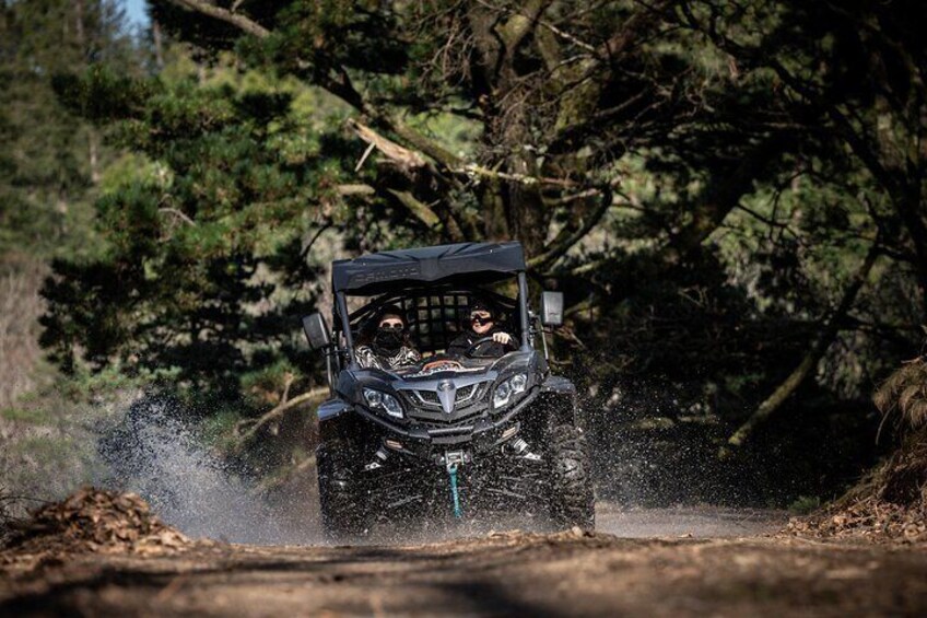 Buggy Tour in Serra da Lousã