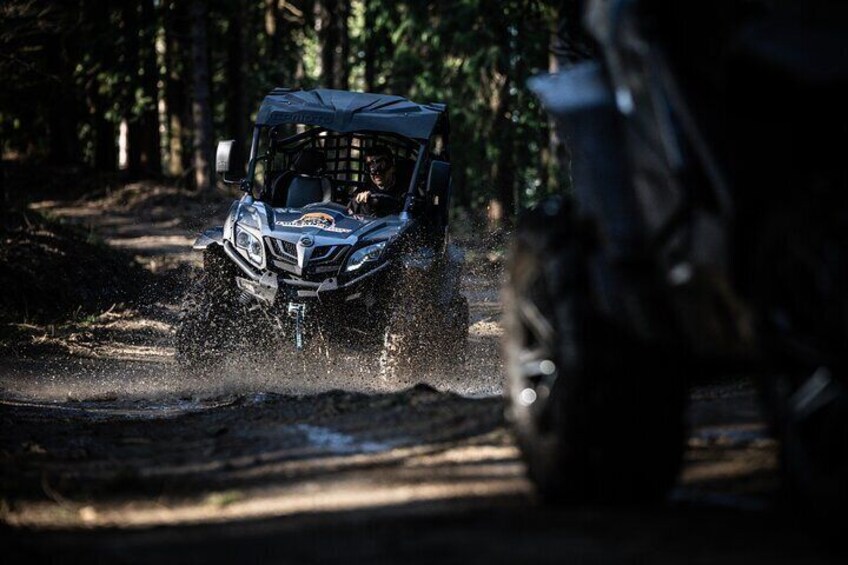 Buggy Tour in Serra da Lousã