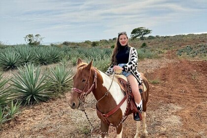 Jungle and Beach Horseback ride Tour in Pacific Coast