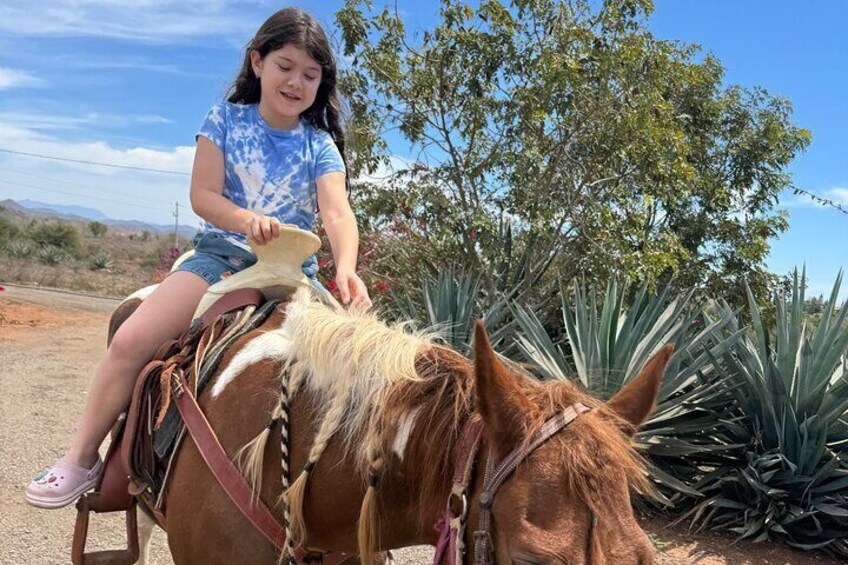 Shared Jungle and Beach Horse Ride Tour in Pacific Coast