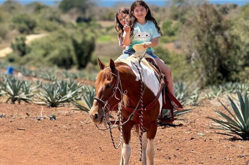 Shared Jungle and Beach Horse Ride Tour in Pacific Coast