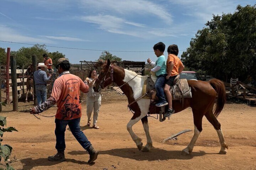 Shared Jungle and Beach Horse Ride Tour in Pacific Coast