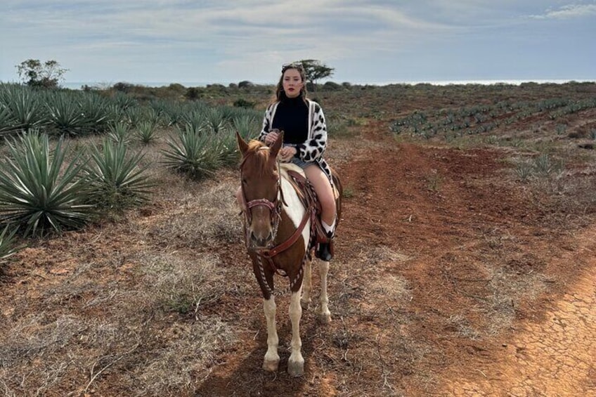 Shared Jungle and Beach Horse Ride Tour in Pacific Coast