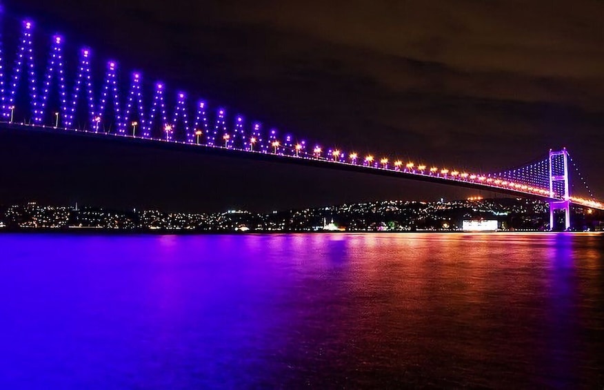 Picture 11 for Activity Istanbul: Dinner Cruise on the Bosphorus