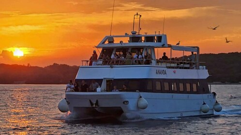 Pula: Dolphin Sunset Cruise to Brijuni with Dinner & Drinks