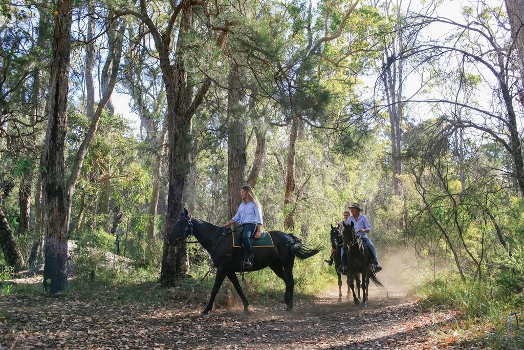 People riding horses down trail in Perth