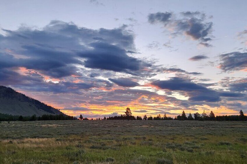 Yellowstone Private Wildlife Tour