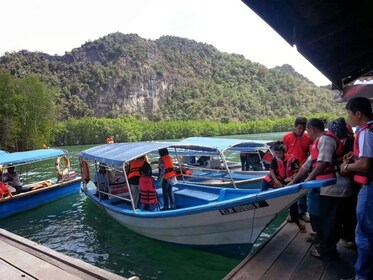 Langkawi Mangrove Tours paketti